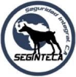 SEGINTECA